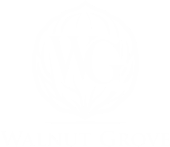 land development, Walnut Grove, commercial, terra, commercial development texas, texas